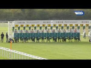 Video preview image for Newmarket 19:30 - Fly London Southend Airport To Budapest Handicap (4)