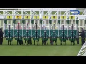 Video preview image for Musselburgh 19:50 - 25 Years Of The Scottish Senior Open Nursery Handicap (5)