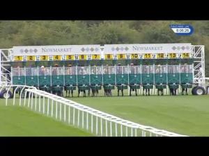 Video preview image for Newmarket 20:00 - Fly London Southend Airport To Dubrovnik Maiden Stakes (5)