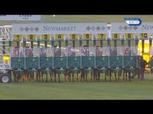 Video preview image for Newmarket 20:30 - Fly London Southend Airport To Venice Handicap (3)