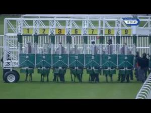 Video preview image for Musselburgh 20:50 - Bet At racinguk.com Handicap (6)