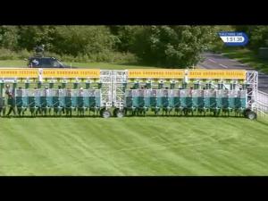 Video preview image for Goodwood 13:50 - Qatar Stewards' Sprint Handicap (2)