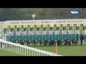 Video preview image for Newmarket 15:15 - Newmarket Equine Hospital EBF Fillies' Novice Stakes (4)