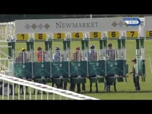 Video preview image for Newmarket 15:50 - Malcolm Roxburgh Retirement Handicap (3)