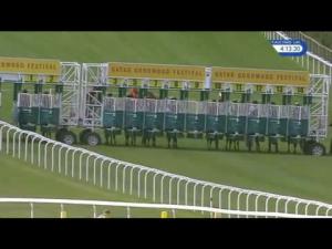 Video preview image for Goodwood 16:10 - Qatar EBF Stallions Maiden Stakes (2)