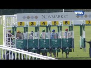 Video preview image for Newmarket 16:25 - Euf Ruby Anniversary Handicap (2)
