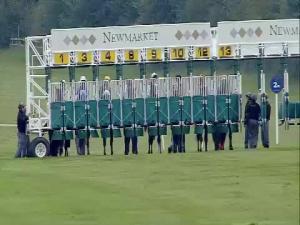 Video preview image for Newmarket 17:00 - Maritime Cargo Services Handicap (4)