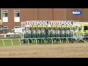 Video preview image for Thirsk 17:10 - Breeders Backing Racing EBF Maiden Stakes (4)