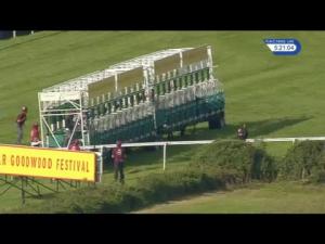 Video preview image for Goodwood 17:20 - Qatar Apprentice Handicap (3)