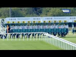 Video preview image for Newmarket 17:30 - Federation Of Bloodstock Agents Handicap (4)