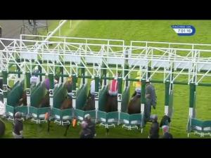 Video preview image for Hamilton Park 19:00 - Andrail Ltd Handicap (4)
