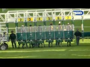 Video preview image for Hamilton Park 19:30 - British Stallion Studs EBF Soba Conditions Stakes (3)