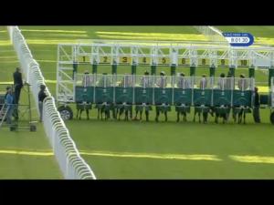 Video preview image for Hamilton Park 20:00 - Building Craftsmen Dumfries Handicap (5)