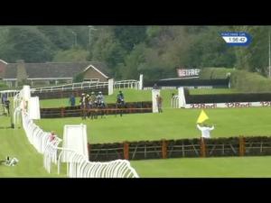 Video preview image for Market Rasen 13:55 - Showroom Activities Juvenile Hurdle (4)