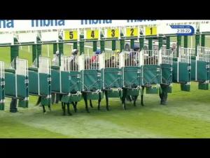 Video preview image for Chester 14:35 - Horseradish Hospitality At Southport Flower show/EBF Stallions Conditions Stakes (2)
