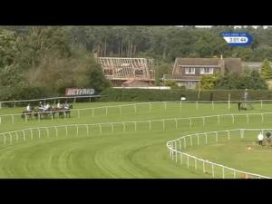 Video preview image for Market Rasen 15:00 - Nomad Trust Handicap Chase (4)