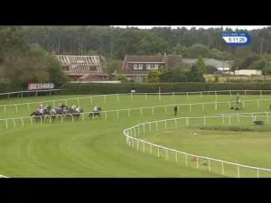 Video preview image for Market Rasen 17:10 - Nomad Project Handicap Hurdle (5) (Div 2)