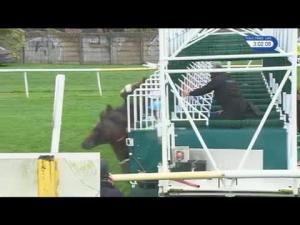 Video preview image for Leicester 15:00 - Irish Stallion Farms EBF Fillies' Nursery Handicap (4)