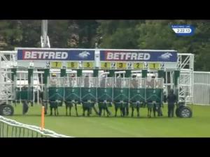 Video preview image for Haydock Park 14:20 - Betfred TV British Stallion Studs EBF Novice Stakes (4)