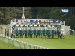 Video preview image for Haydock Park 14:50 - Betfred Bingo Handicap (Qualifier) (5)