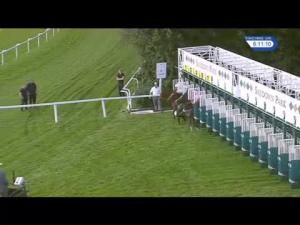 Video preview image for Sandown Park 18:10 - Slug and Lettuce Christmas EBF Novice Stakes (5)