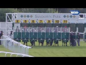 Video preview image for Sandown Park 18:45 - Slug and Lettuce Value Lunch EBF Maiden Stakes (5)