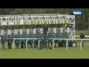 Video preview image for Musselburgh 15:30 - EBF Scottish Premier Series Fillies' Handicap (4)