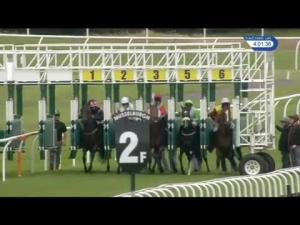 Video preview image for Musselburgh 16:00 - Archerfield Cup Handicap (2)