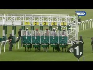 Video preview image for Musselburgh 16:30 - Edgen Murray Handicap (6)