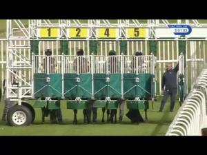 Video preview image for Musselburgh 17:00 - Fisher Group Handicap (6)