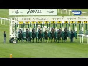 Video preview image for Newmarket 17:30 - Fly London Southend Airport To Perpignan Fillies' Novice Stakes (4)