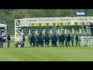 Video preview image for Newmarket 19:35 - Fly London Southend Airport To Budapest EBF Stallions Fillies' Handicap (3)