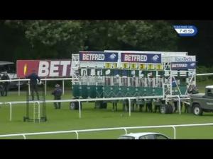 Video preview image for Haydock Park 19:45 - Betfred Super League Novice Stakes (4)