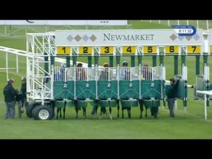 Video preview image for Newmarket 20:10 - Fly London Southend Airport To Venice Handicap (3)