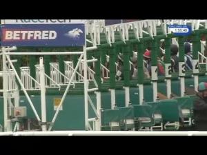 Video preview image for Haydock Park 13:55 - Betfred Haydock Park Ladies' Trophy Handicap (Pro-Am Lady Riders') (3)