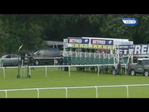 Video preview image for Haydock Park 15:00 - Betfred Duke Of Lancaster's Own Yeomanry Handicap (Qualifier) (3)