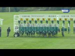 Video preview image for Newmarket 15:05 - German Young Owners and Breeders Handicap (2)