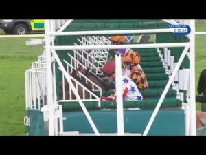 Video preview image for Leicester 14:10 - Sri Lanka The Wonder Of Asia Handicap (5)