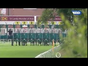 Video preview image for Leicester 15:10 - Heineken Selling Stakes (5)