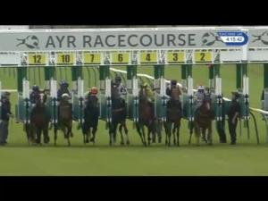 Video preview image for Ayr 16:15 - William Hill Best Odds Guaranteed Handicap (6)