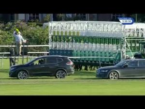 Video preview image for Nottingham 17:55 - bettinggods.com EBF Fillies' Novice Stakes (5)