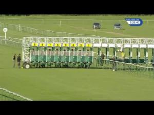Video preview image for Nottingham 18:25 - bettinggods.com Free Racing Tips Handicap (5)