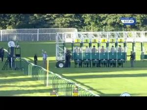 Video preview image for Nottingham 18:55 - British Stallion Studs EBF Conditions Stakes (3)
