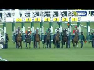 Video preview image for Nottingham 19:25 - bettinggods.com Handicap (5)