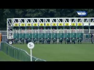 Video preview image for Nottingham 19:55 - Free Racing Tips From bettinggods.com Handicap (6)