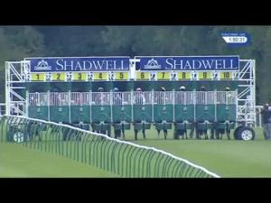 Video preview image for Salisbury 13:50 - British EBF Molson Coors Novice Stakes (4) (Div 1)