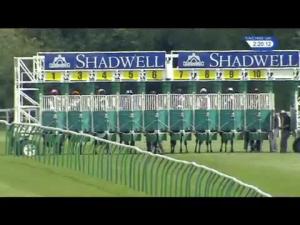 Video preview image for Salisbury 14:20 - British EBF Molson Coors Novice Stakes (4) (Div 2)