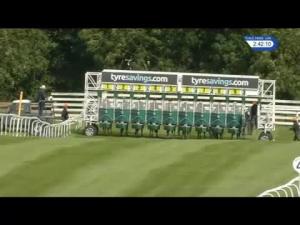Video preview image for Beverley 14:40 - Welcome To Flemingate Ladies Day Novice Auction Stakes (5) (Div 2)