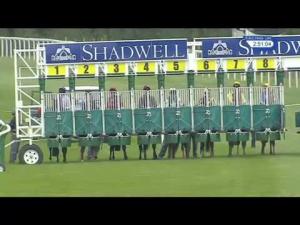 Video preview image for Salisbury 14:50 - S H Jones Wines Handicap (4)