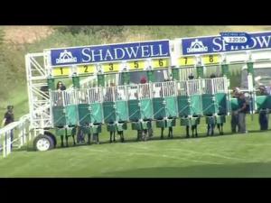 Video preview image for Salisbury 15:20 - Brunton Publications Pembroke Cup Handicap (4)
